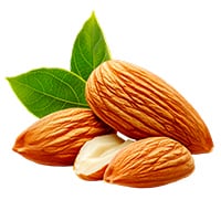 VitaSeal™-Ingredients-2